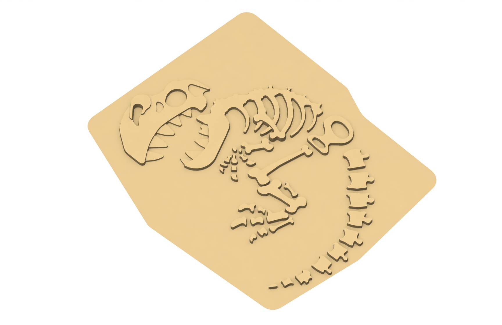 fossile-bebe-dino-l-15020